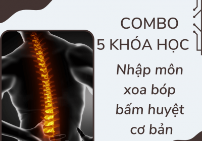 xoa bóp bấm huyệt cơ bản