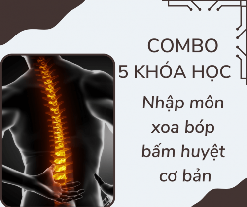 xoa bóp bấm huyệt cơ bản