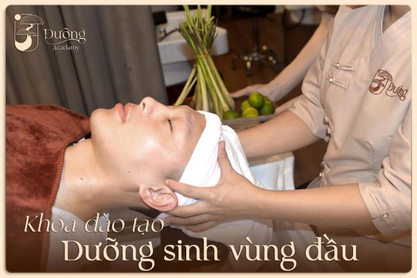 Khóa đào tạo dưỡng sinh vùng đầu