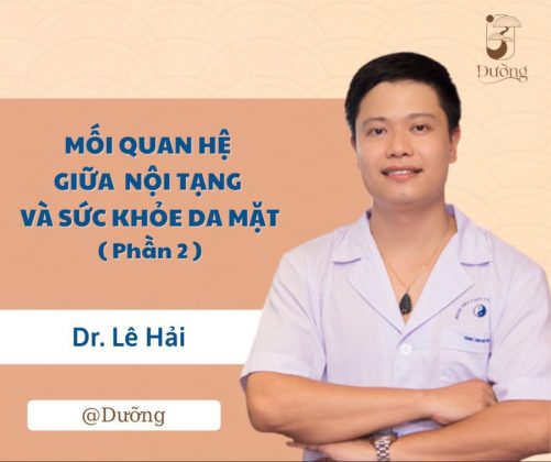 Mối quan hệ giữa nội tạng và sức khỏe làn da