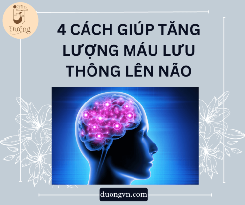 4 cách an toàn và hữu hiệu giúp tăng lượng máu lưu thông lên não