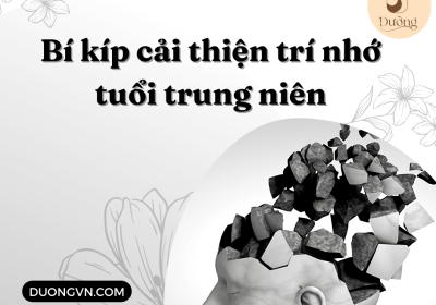 Bí kíp cải thiện trí nhớ tuổi trung niên