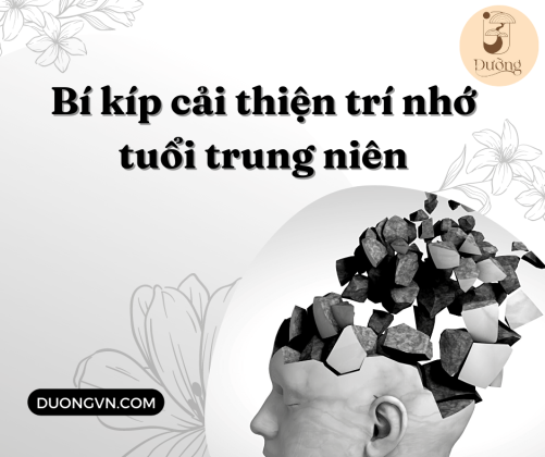 Bí kíp cải thiện trí nhớ tuổi trung niên