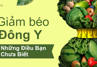 Giảm béo đông y và những điều bạn chưa biết